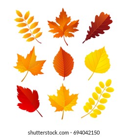 Vector illustration, set of bright autumn leaves