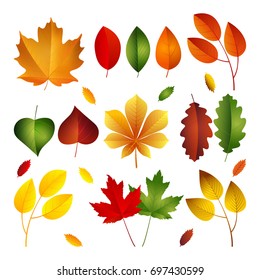 Ilustración vectorial, conjunto de hojas de otoño brillantes. La caída deja el fondo.