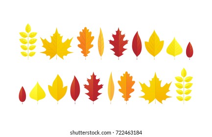 Vector illustration, set of bright autumn leaves