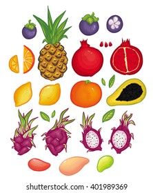 Vector illustration set with bright Thai fruits. Masngosteen, mong-khut, pineapple, orange, lemon, dragon fruit, mango, papaya and  pomegranate illustration set. Beautiful doodle and cartoon fruits.