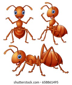 Vector Illustration Of Set Of Brown Ants Cartoon