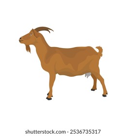 Vector illustration set of brown goat in cartoon flat style. Nubian Goat in different poses, with rural scene field with green grass. Icon for digital resources, logo, infographic