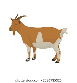 Vector illustration set of brown goat in cartoon flat style. Nubian Goat in different poses, with rural scene field with green grass. Icon for digital resources, logo, infographic