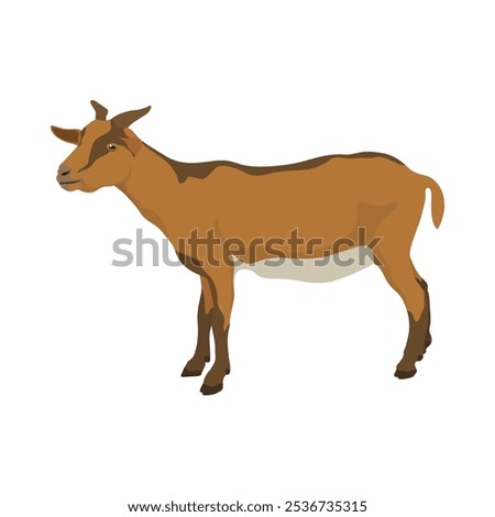 Vector illustration set of brown goat in cartoon flat style. Nubian Goat in different poses, with rural scene field with green grass. Icon for digital resources, logo, infographic