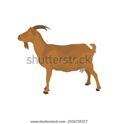 Vector illustration set of brown goat in cartoon flat style. Nubian Goat in different poses, with rural scene field with green grass. Icon for digital resources, logo, infographic