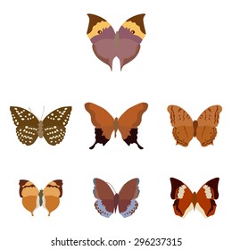Vector illustration set of butterflies on white background