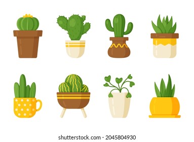 Vector illustration of a set of cacti and indoor plants. 