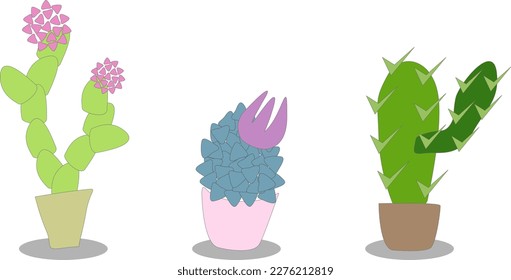 vector illustration set of cacti in pots, stylized image