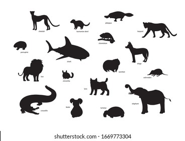 Vector illustration, set of cartoon animal silhouettes. Cheetah, platypus, leopard, porcupine, shark, chameleon, chinchilla, wombat, lynx, tortoise