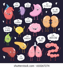 Vector illustration set of cartoon characters. Human internal organs. Vector cute smiling heart, lungs, kidneys, liver, stomach, bladder, pancreas, gallbladder, intestine