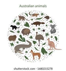 Vector illustration, set of cartoon cute Australian animals with leaves flowers and spots in a circle. Quoll, redback spider, kiwi, numbat, platypus, koala, wombat, echidna, emu tasmanian devil crocod