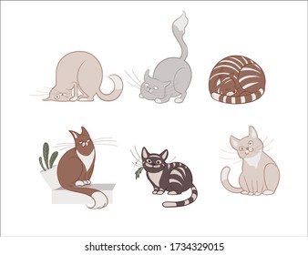 Vector illustration, set of cartoon cute cats, isolated on a white background.