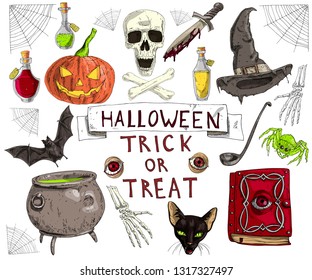 Vector illustration set cartoon realistic assorted Halloween accessories Pumpkin, Skull, Potion, Spider, Pot, Black Cat, Dagger, Web, Hand Bones