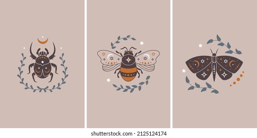 Vector illustration set of celestial butterfly, bee and bug with leaves. Vintage magic insect, esoteric symbol, mystical composition.