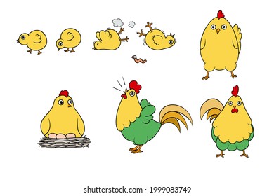 vector illustration set of chickens on white background, character  rooster chick and hen sitting on eggs in hen-coop, is a farm poultry, is a cute cartoon image,hand drawn.