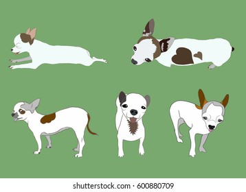 Vector illustration set of chihuahua small dog