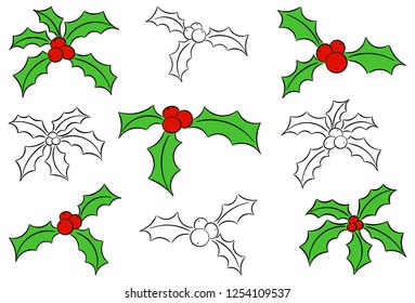 vector illustration of a set of christmas holly leaves isolated on white