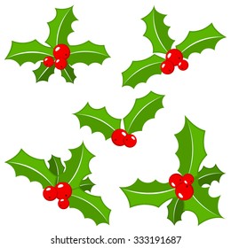 vector illustration of a set of christmas holly leaves isolated on white