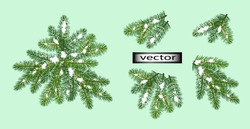 Vector Illustration Set For Christmas Tree Branch Design Snowflakes And Ice On Christmas Tree For Holiday Isolated On Green Background