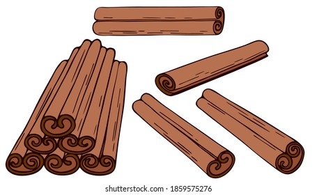 Vector illustration. Set of Cinnamon sticks isolated on white. Delicious spicy seasoning for dessert, coffee, baking, mulled wine, eggnog. Hand drawn doodle clipart. For menu, poster, banner, collage