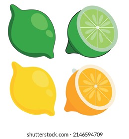 Vector illustration of a set of citrus fruits lemon and lime in a cut isolated on a white background.