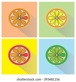 Vector illustration of set citrus logos with shadow
