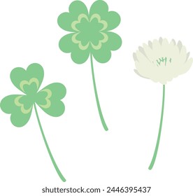 Vector illustration set of clover (white clover).