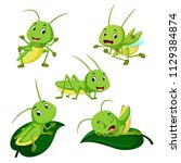 vector illustration of set collection grasshopper cartoon