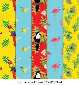 Vector illustration set, collection  of seamless exotic tropical pattern with birds. Pink flamingo, parrot, toucan, hummingbird and peacock