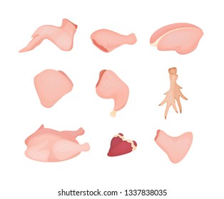 Vector illustration set of colored chicken meat. Different parts of chicken in realistic style isolated on white background. Chicken fillet, wing, heart and ham collection.