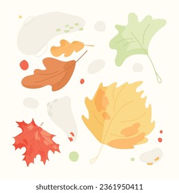 Vector illustration set. Colorful autumn leaves. For prints, textile, cards, wallpapers etc.
