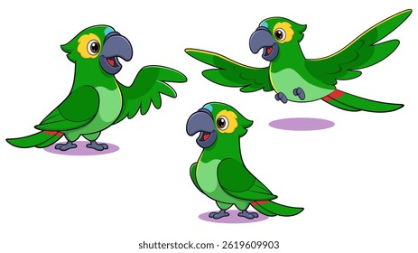 vector illustration of a set of colorful birds made in cartoon style isolated on white background.