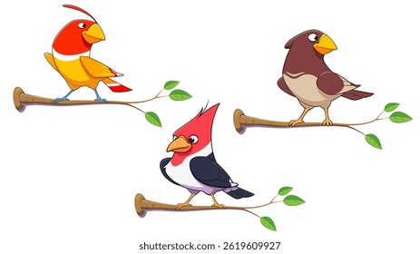 vector illustration of a set of colorful birds made in cartoon style isolated on white background.