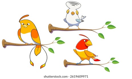 vector illustration of a set of colorful birds made in cartoon style isolated on white background.