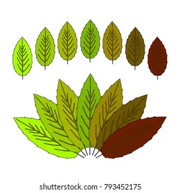 Vector illustration of Set of colorful cherry   leaves isolated on white background                                                                                                          