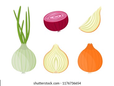 Vector illustration. Set of vector colorful half, slice and whole onion. Vegetables isolated on white background.