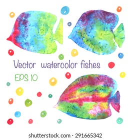 Vector illustration, set of colorful hand drawn watercolor fishes isolated on white background with bubbles. Bright, cute and cheerful elements for your design