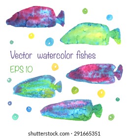 Vector illustration, set of colorful hand drawn watercolor fishes isolated on white background with bubbles. Bright, cute and cheerful elements for your design