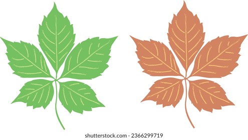 Ilustración vectorial. Conjunto de hojas coloridas.