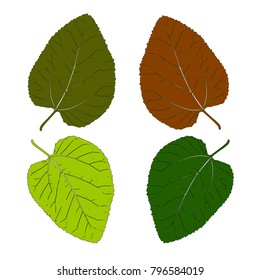 Vector illustration of Set of colorful   leaves isolated on white background                                                                                                          