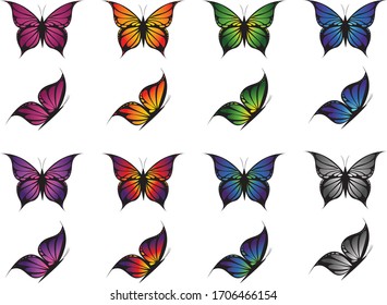 A vector illustration of a set of colorful tattoo style butterflies in different colors from the top and the side view