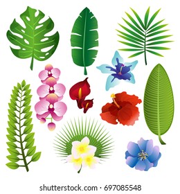 Vector illustration set of colorful tropical plants, leaves and flowerf in flat design