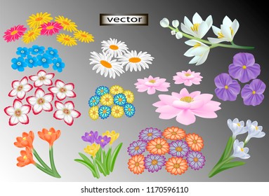 Vector illustration set of colors 3D realistic decorative design elements, garden decorations for creativity.