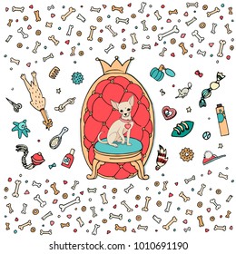 Vector illustration. Set, consisting of accessories for dogs. You can use it to create banners, posters, advertising fliers and postcards for pet shops and grooming.