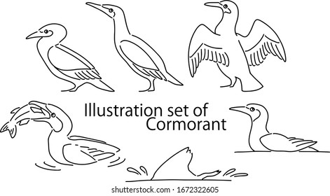 Vector illustration set of cormorant