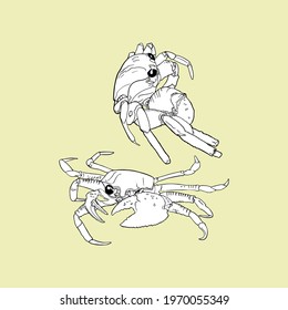 Vector illustration of a set of crabs on an isolated white background. For printing on menus, restaurants, packaging, clothes, elements for designers