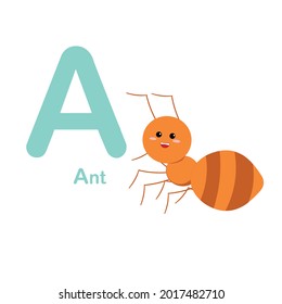 Vector illustration of a set of cute animal alphabets A-Z 1st A for ant on a white background.