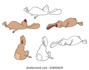 Vector Illustration of a Set of Cute Cartoon Rabbits. Coloring Book.