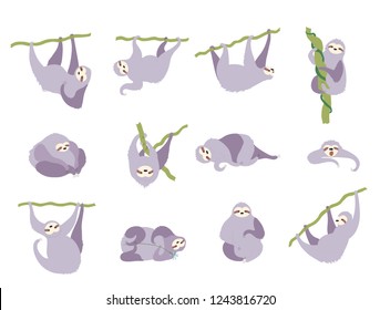 Vector illustration set of cute character sloth. Isolated cartoon baby climbing sloths. Hand drawn jungle animal hanging on a branch of tree. Drawing for print, fabric, textile, poster etc. 