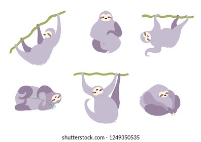 Vector illustration set of cute character sloth. Isolated cartoon baby climbing sloths. Hand drawn jungle animal hanging on a branch of tree. Drawing for print, fabric, textile, poster etc. 